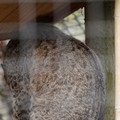 DSC01587.JPG