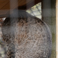 DSC01588.JPG