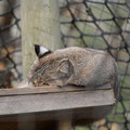 DSC01589.JPG