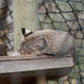 DSC01590.JPG