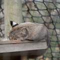 DSC01592.JPG
