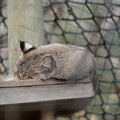 DSC01593.JPG