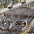 DSC01594.JPG