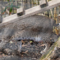 DSC01595.JPG