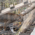 DSC01596.JPG