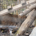 DSC01597.JPG