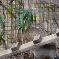 DSC01598.JPG