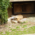 DSC01600.JPG