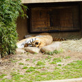 DSC01601.JPG