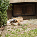 DSC01602.JPG