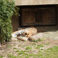 DSC01603.JPG