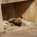 DSC01605.JPG