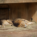 DSC01606.JPG
