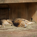 DSC01607.JPG