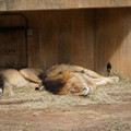 DSC01608.JPG