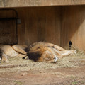 DSC01609.JPG