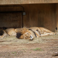 DSC01610.JPG