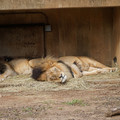 DSC01611.JPG