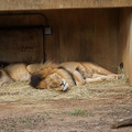 DSC01612.JPG