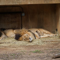 DSC01613.JPG
