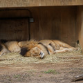 DSC01614.JPG