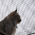 DSC01615.JPG