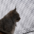 DSC01616.JPG