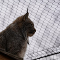 DSC01617.JPG