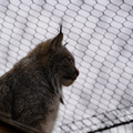 DSC01618.JPG