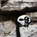 DSC01620.JPG