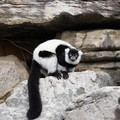 DSC01621.JPG