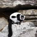 DSC01622.JPG