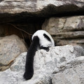 DSC01623.JPG