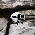 DSC01624.JPG