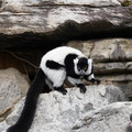 DSC01625.JPG