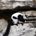 DSC01626.JPG