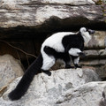 DSC01627.JPG