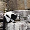 DSC01628.JPG