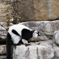 DSC01629.JPG