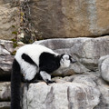 DSC01630.JPG