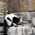 DSC01631.JPG