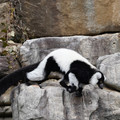 DSC01632.JPG