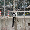 DSC01633.JPG