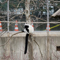 DSC01634.JPG