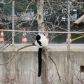 DSC01635.JPG