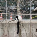 DSC01636.JPG
