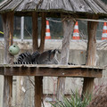 DSC01638.JPG