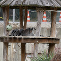 DSC01639.JPG