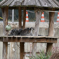 DSC01640.JPG