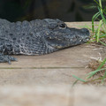 DSC01644.JPG